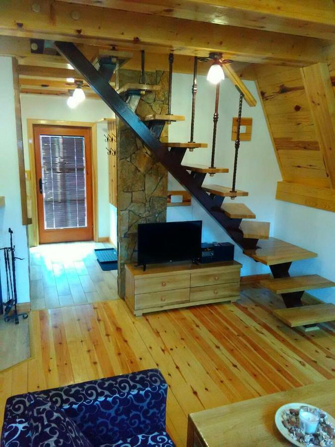바이나 바슈타 Mountain House Tadic 1 빌라 외부 사진