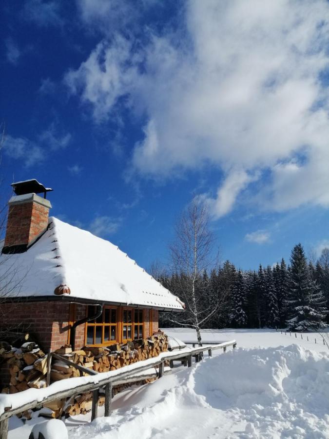 바이나 바슈타 Mountain House Tadic 1 빌라 외부 사진